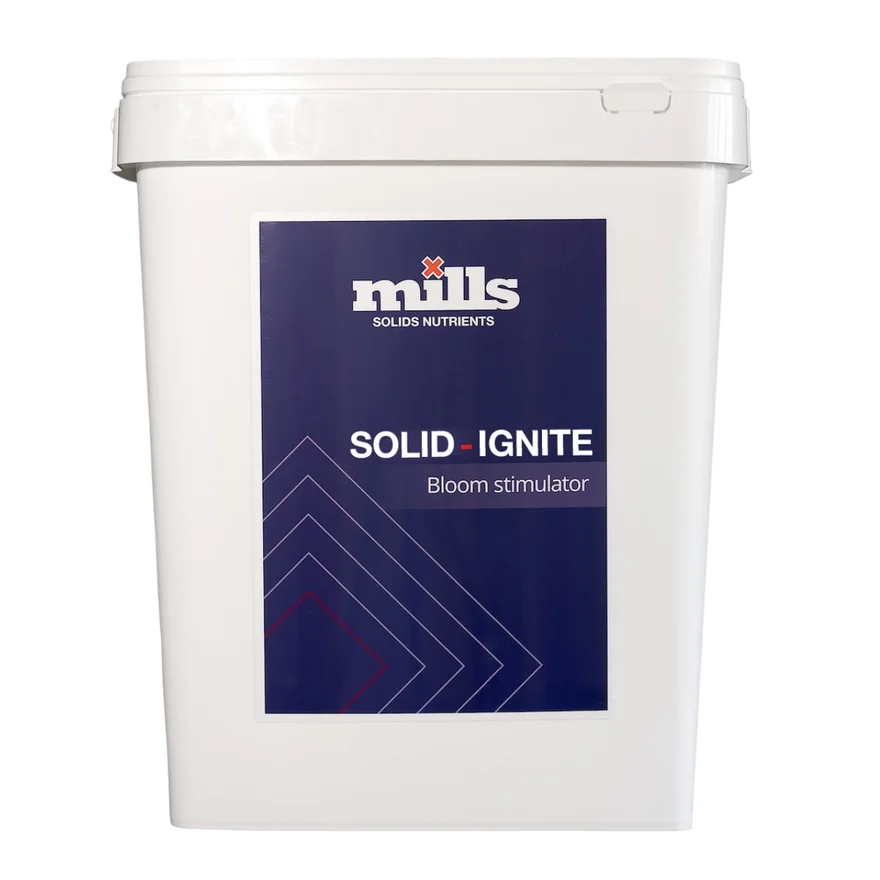 Mills Solid Ignite bag